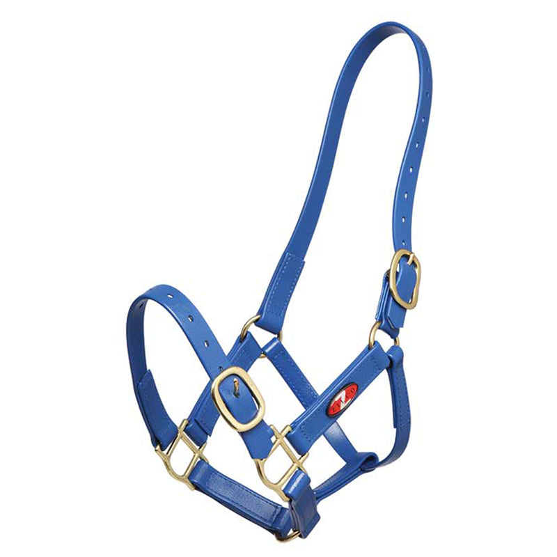 Zilco PN 25mm Brass Halter