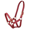 Web Halter 19mm