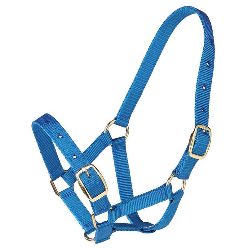 Web Halter 19mm