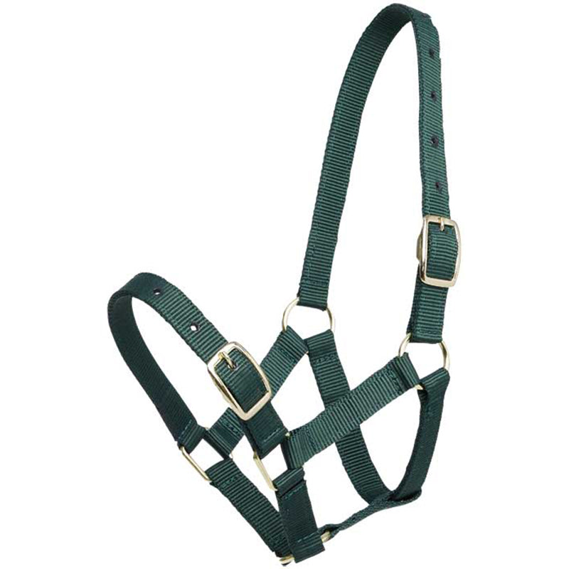 Web Halter 19mm