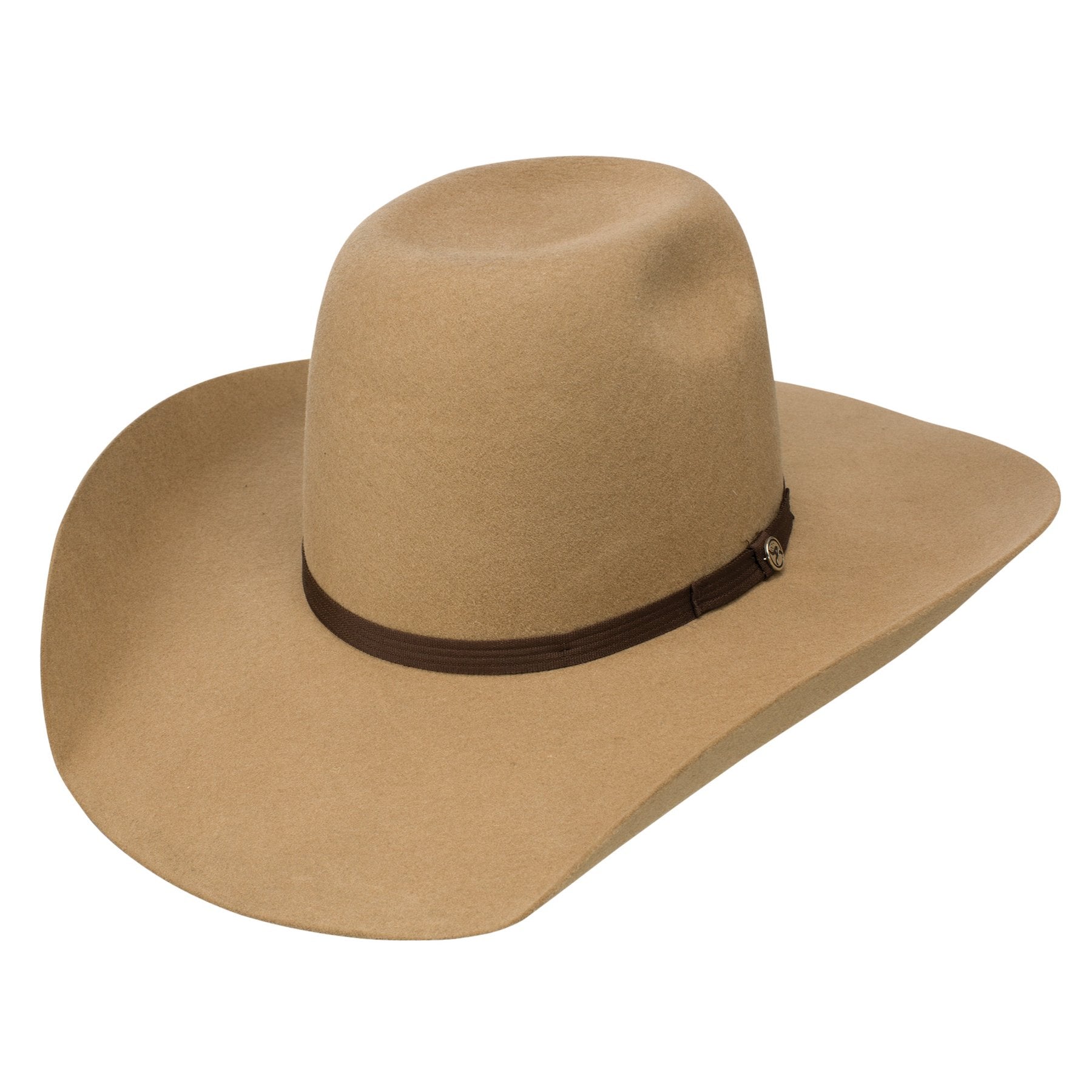 Resistol Hooey Day Money Felt Hat