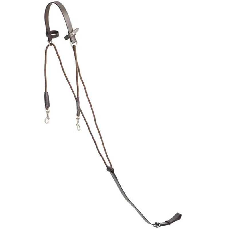 Chambon Martingale