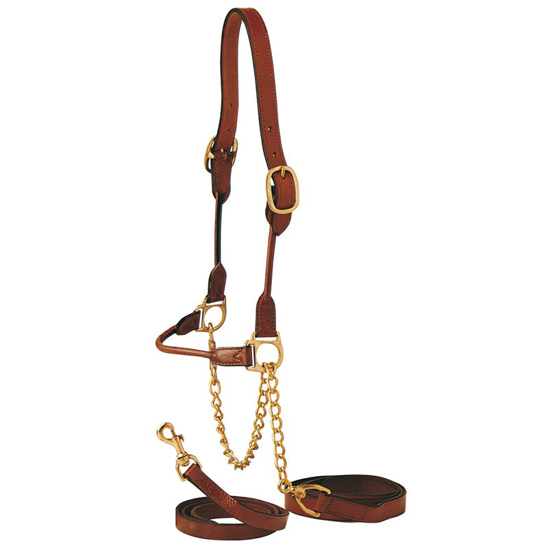 Rolled Show Cattle Halter