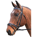 Eureka Eventing Bridle