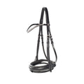 HZ Cescendo Lester Bridle