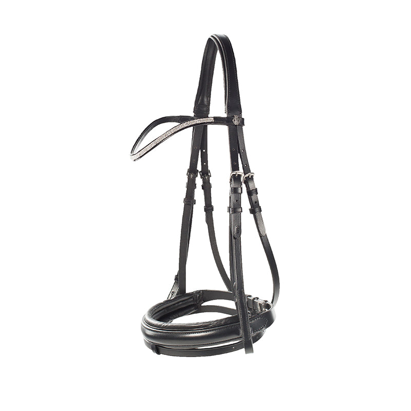 HZ Cescendo Lester Bridle
