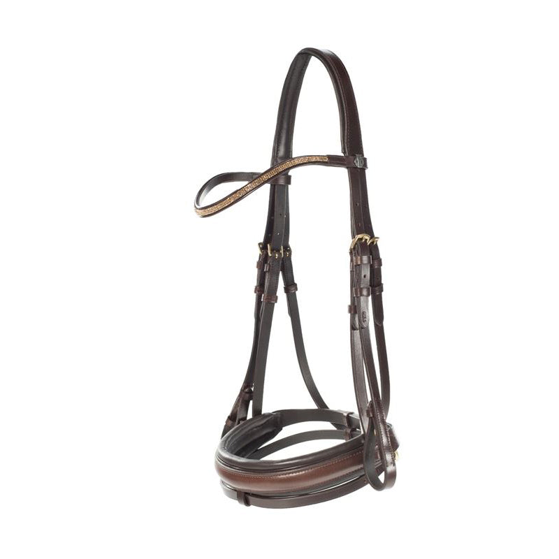 HZ Cescendo Lester Bridle