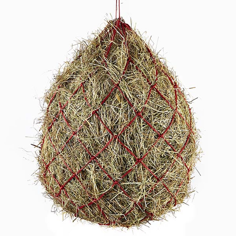 Haynet