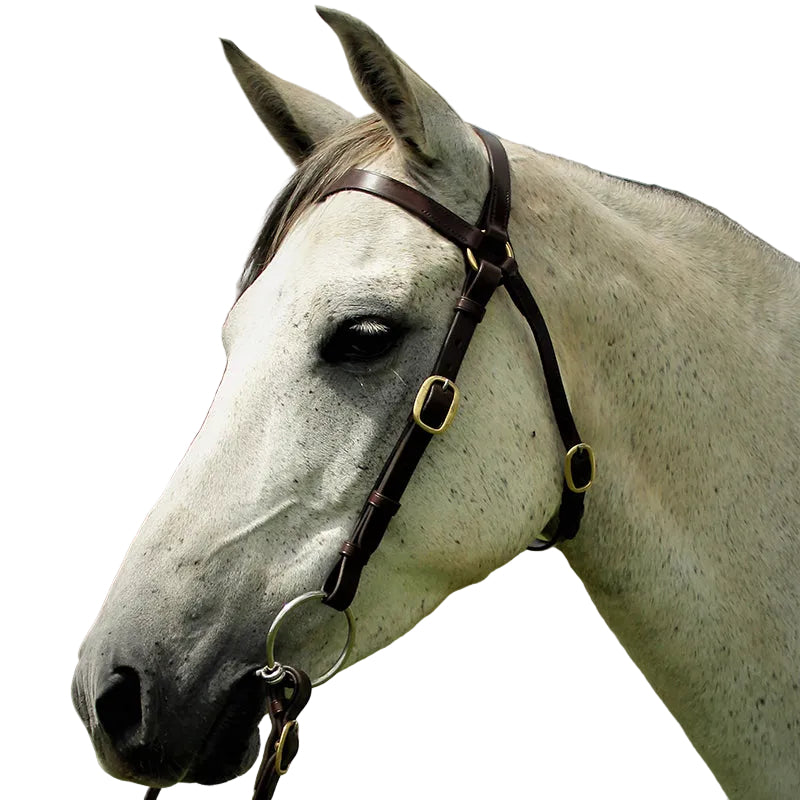 Hy Ride Barcoo Bridle