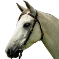 Hy Ride Barcoo Bridle