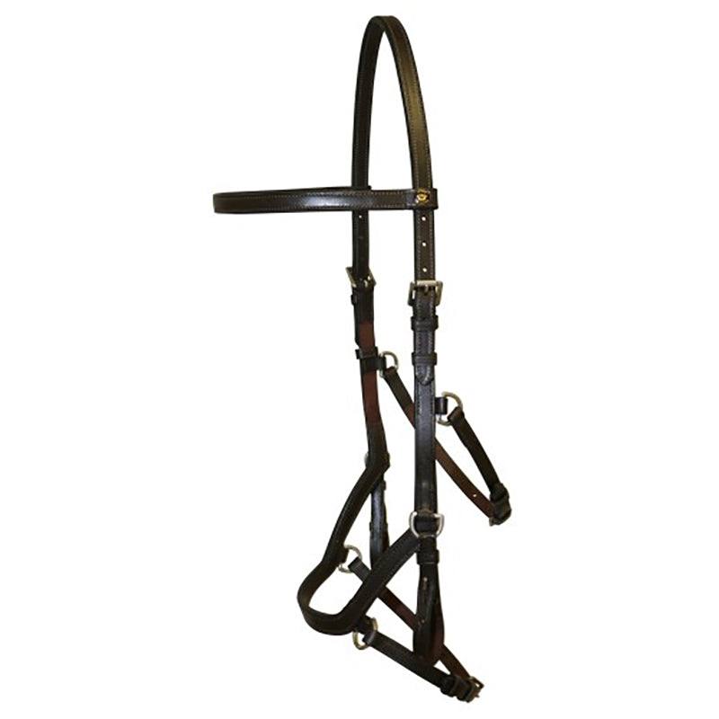 Jeremy & Lord Multi Bridle