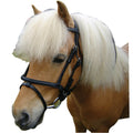 Miniature Bridle