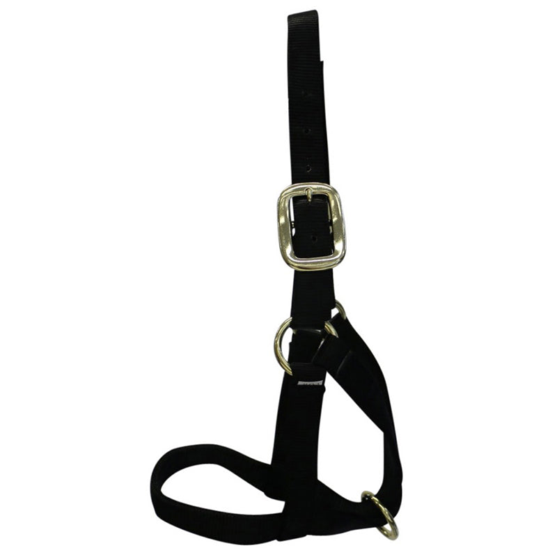 Nylon Yearling Halter