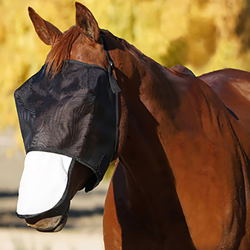 FBD Standard Nose Cover Flyveil