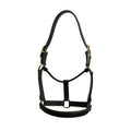 Hy Ride English Leather Stallion Halter