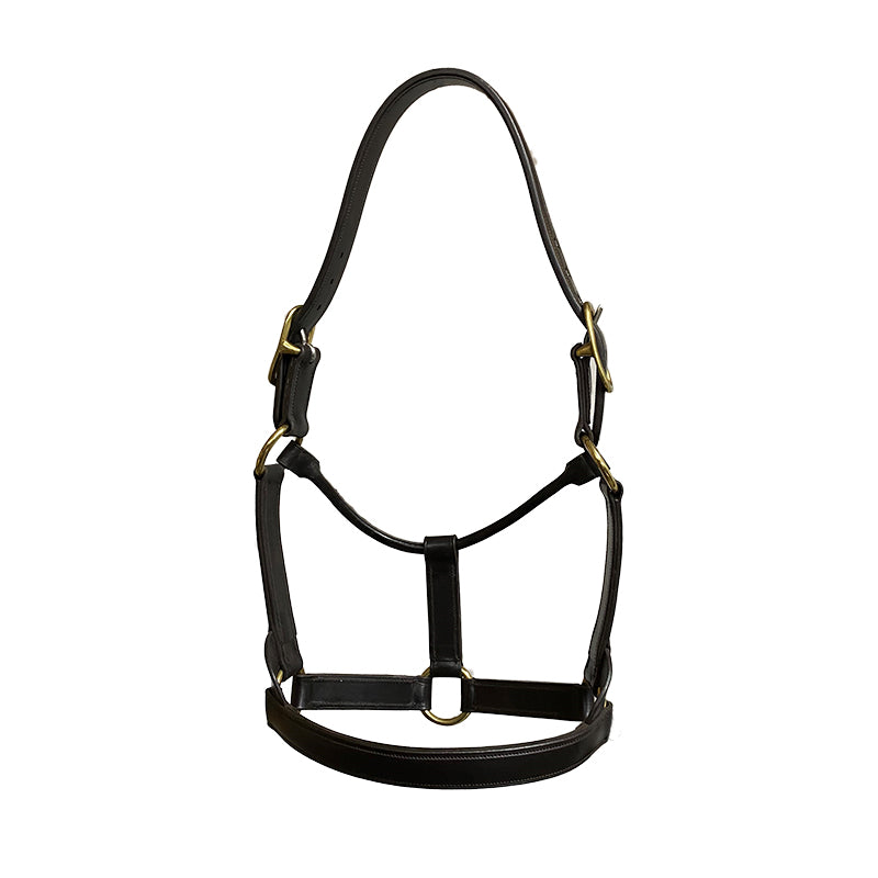 Hy Ride English Leather Stallion Halter