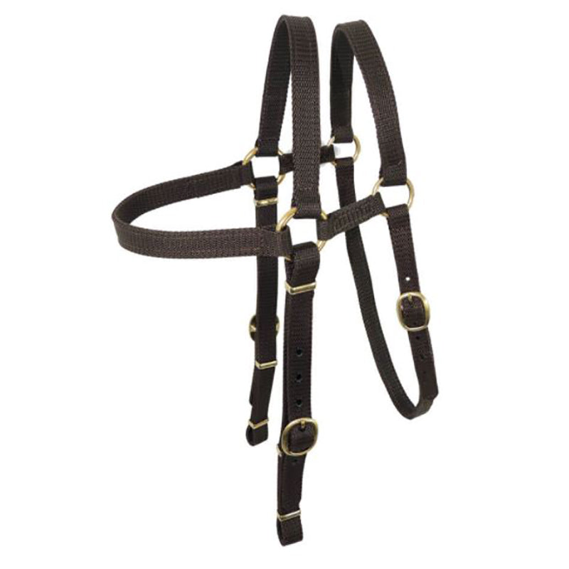 Nyla Web Barcoo Bridle Extended Head Brass 19mm