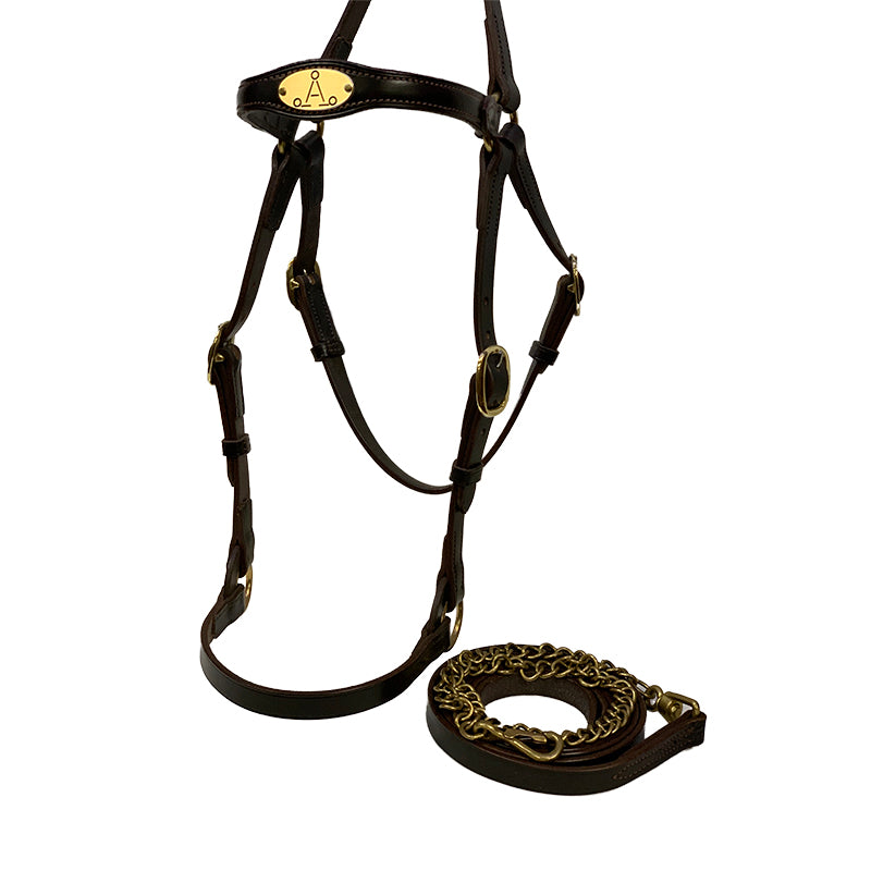 Aus Made Barcoo Cavesson Led In Bridle Shaped Brow w A Plate w Lead