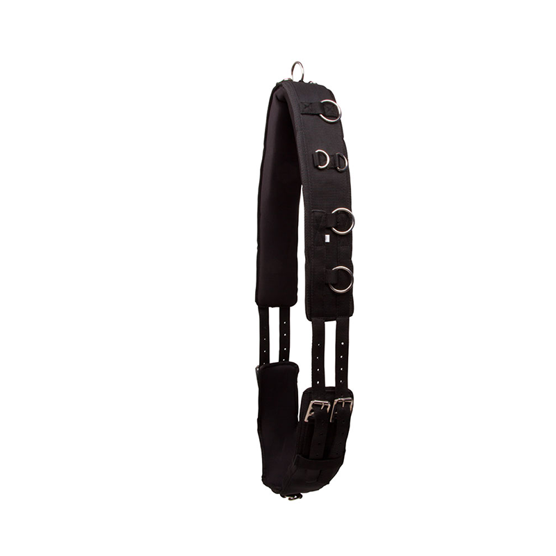 Lunge Roller Nylon Training