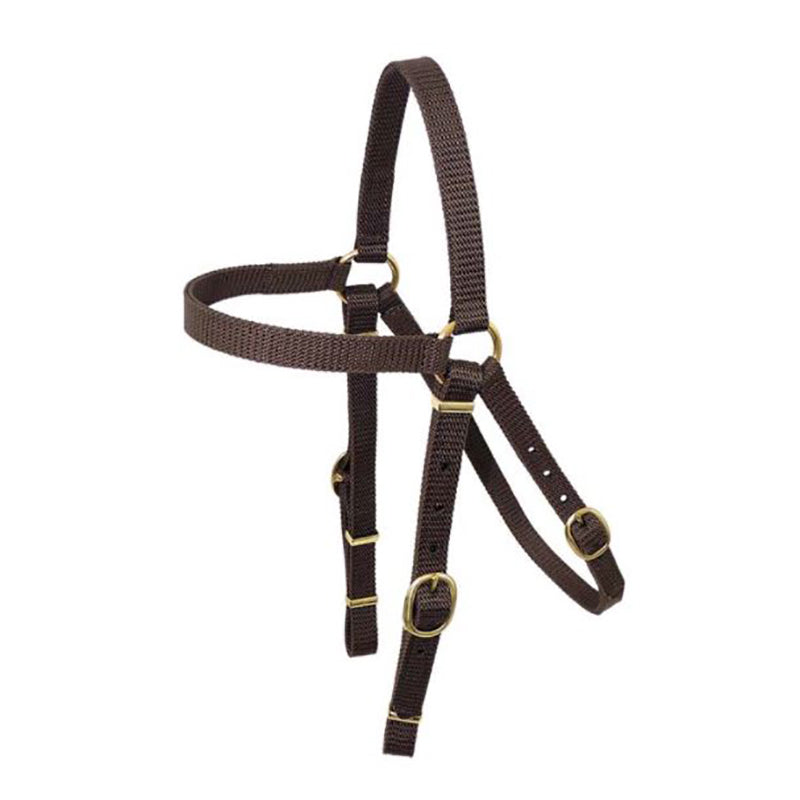 Nyla Web Barcoo Bridle Brass 19mm