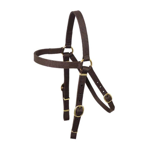 Reinsman Sharon Camarillo Plus Touch Bit 732 Reinsman Sharon Camarillo Plus Touch Bit 732