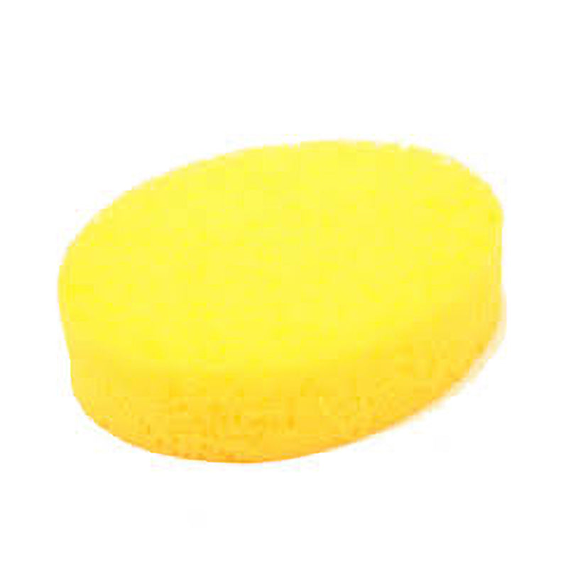 Sponge Medium Round